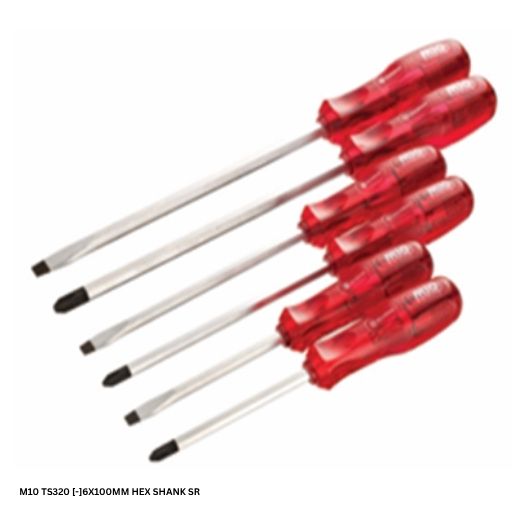 M10 TS320 [-]6X100MM HEX SHANK SR